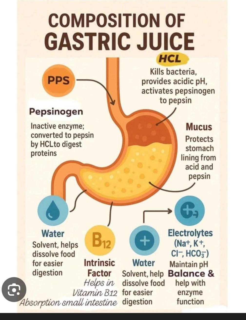 bpc-157 derived from gastric juice Delayed BPC-157 Explained: What We Know