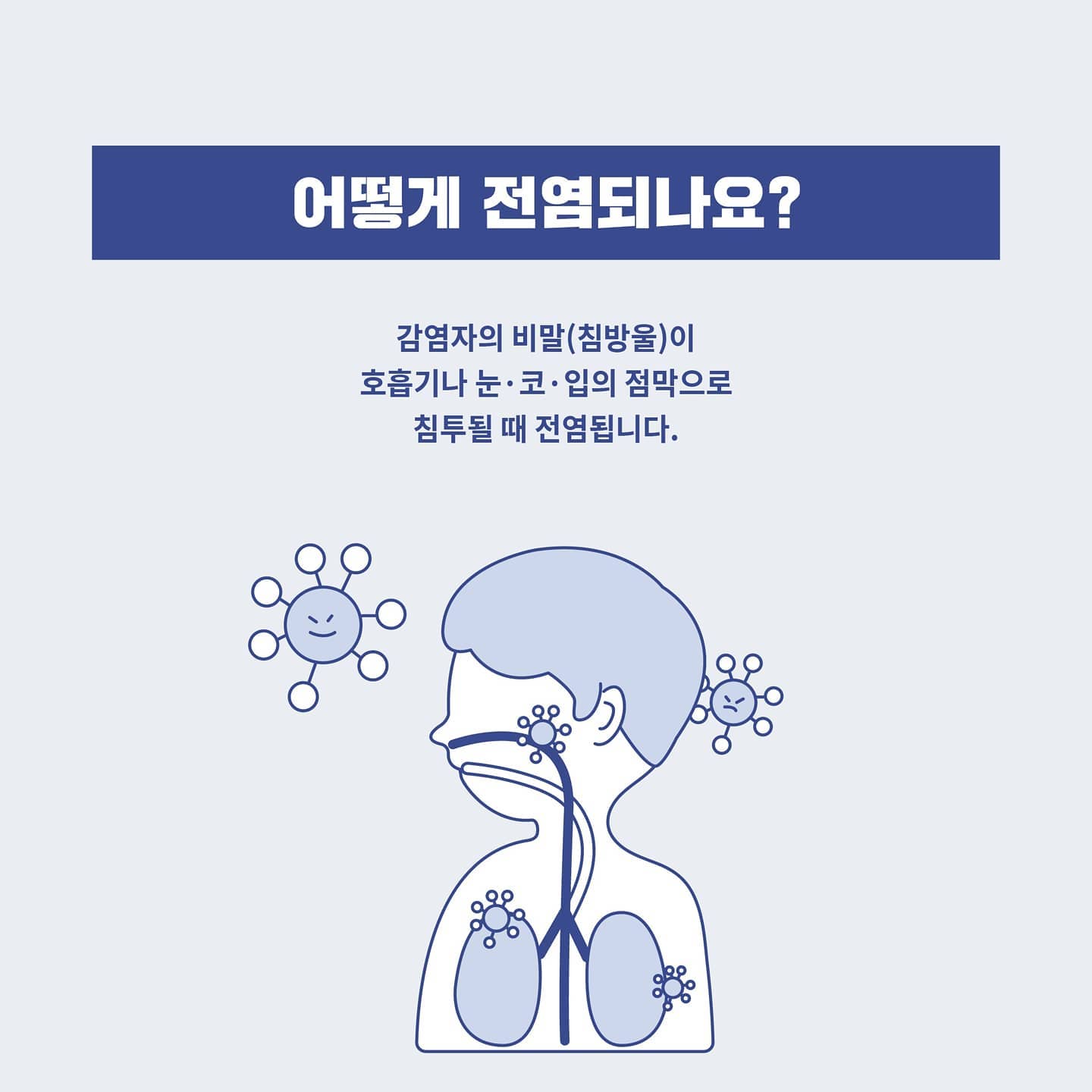 단비 | Seoul