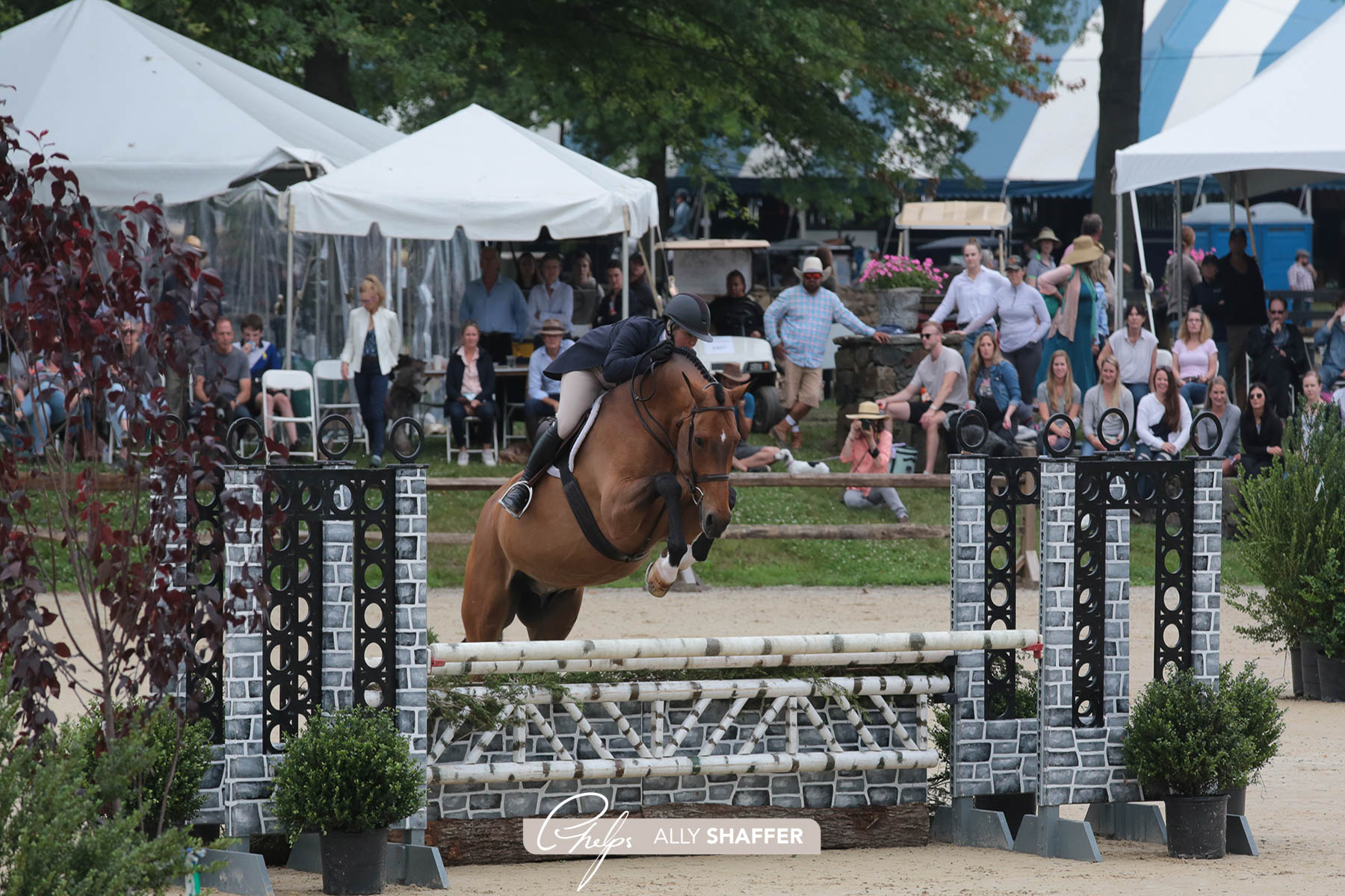 Upperville Colt & Horse Show 2026 | Upperville VA