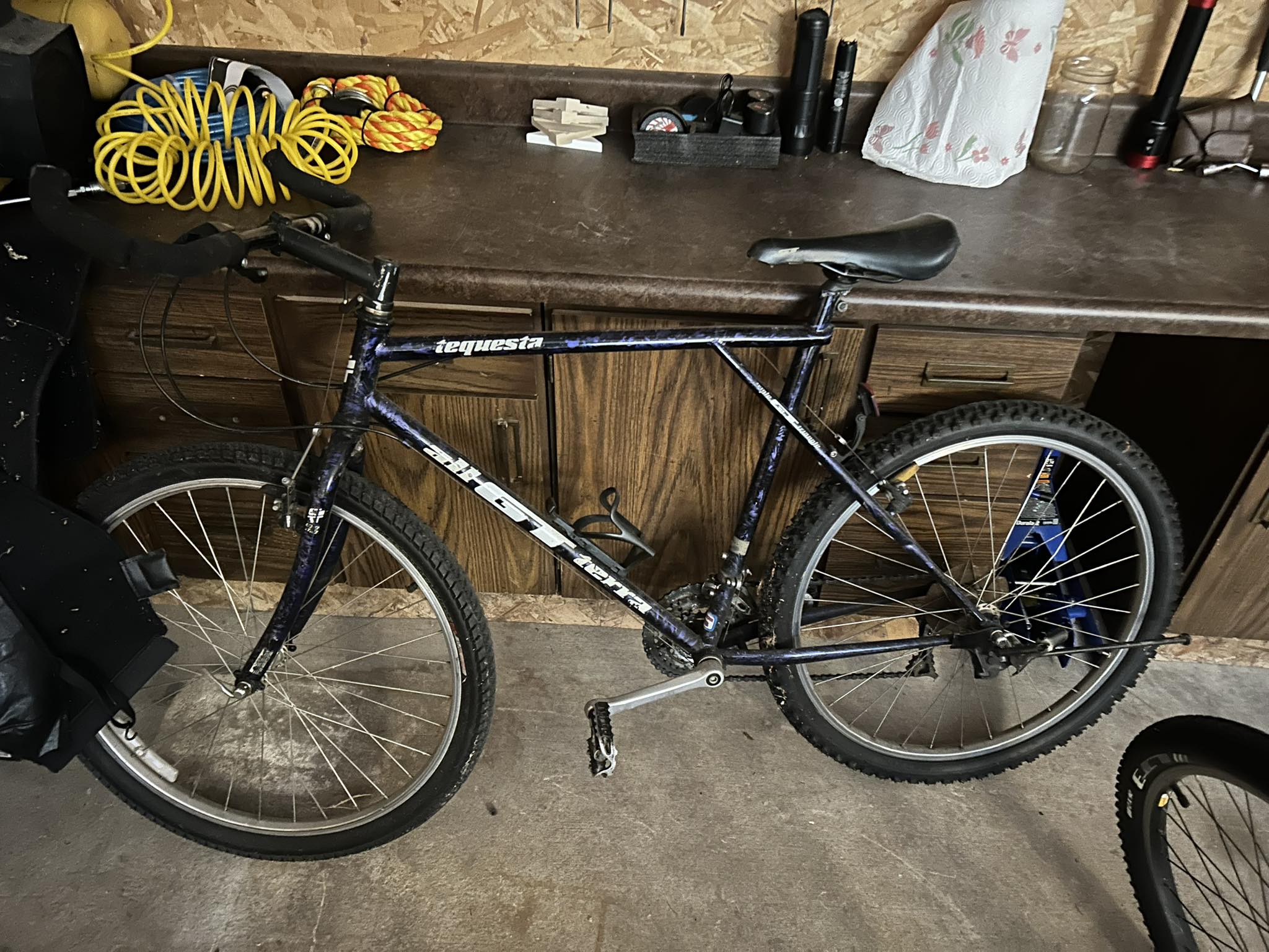 What is a vintage GT Terra bike worth?