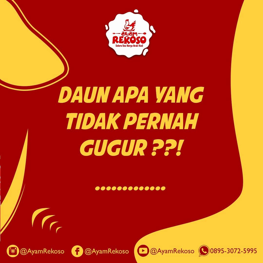 Ayam Rekoso - Main tebak tebak an bentar yuk sobat...