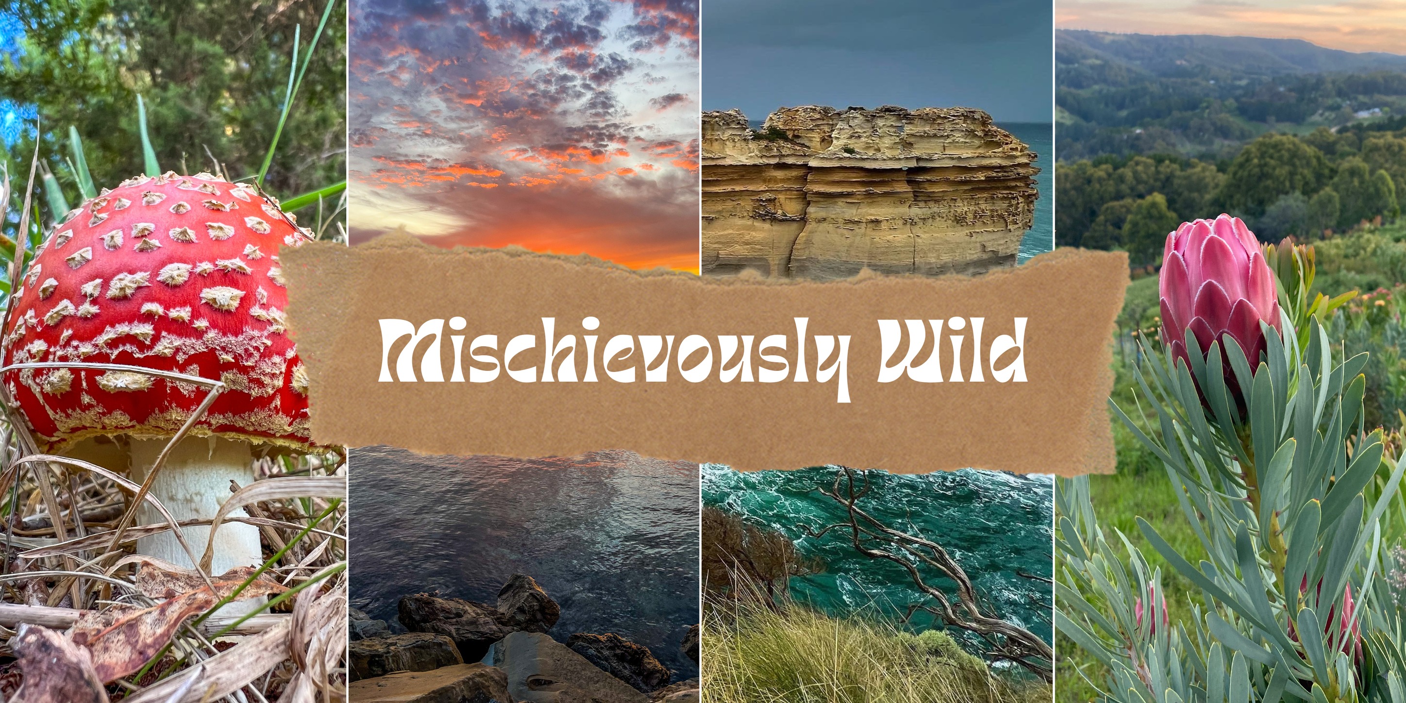 Mischievously Wild