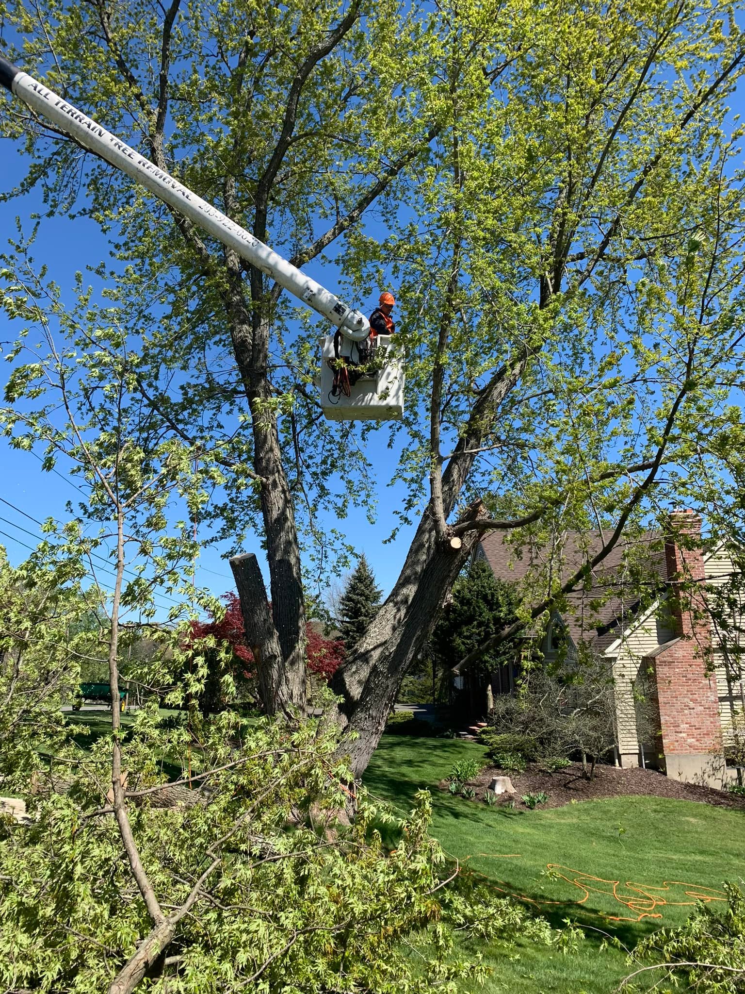 All Terrain Tree Removal | Shelton CT