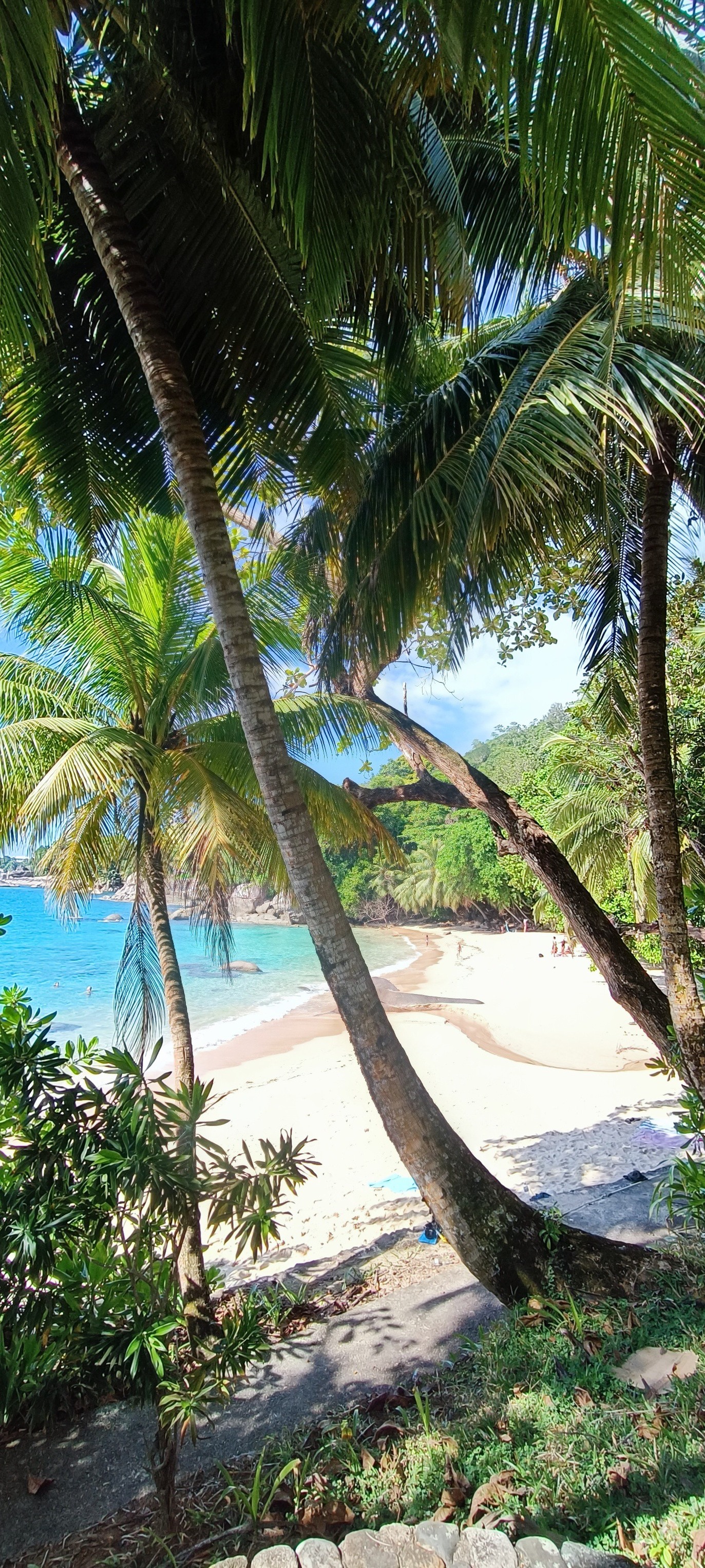 photos du paradis . un gros coup de cœur pour mahé . peu de monde 