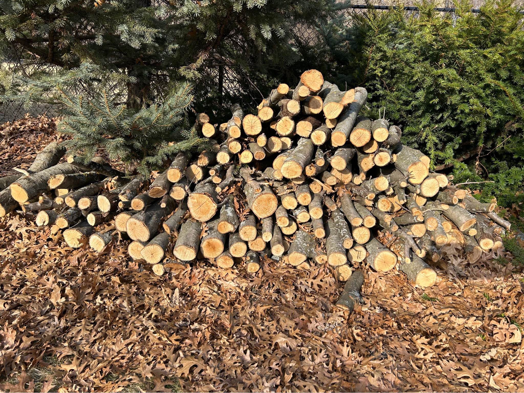Unsplit Firewood - Miscellaneous - Andover, Minnesota | Facebook ...