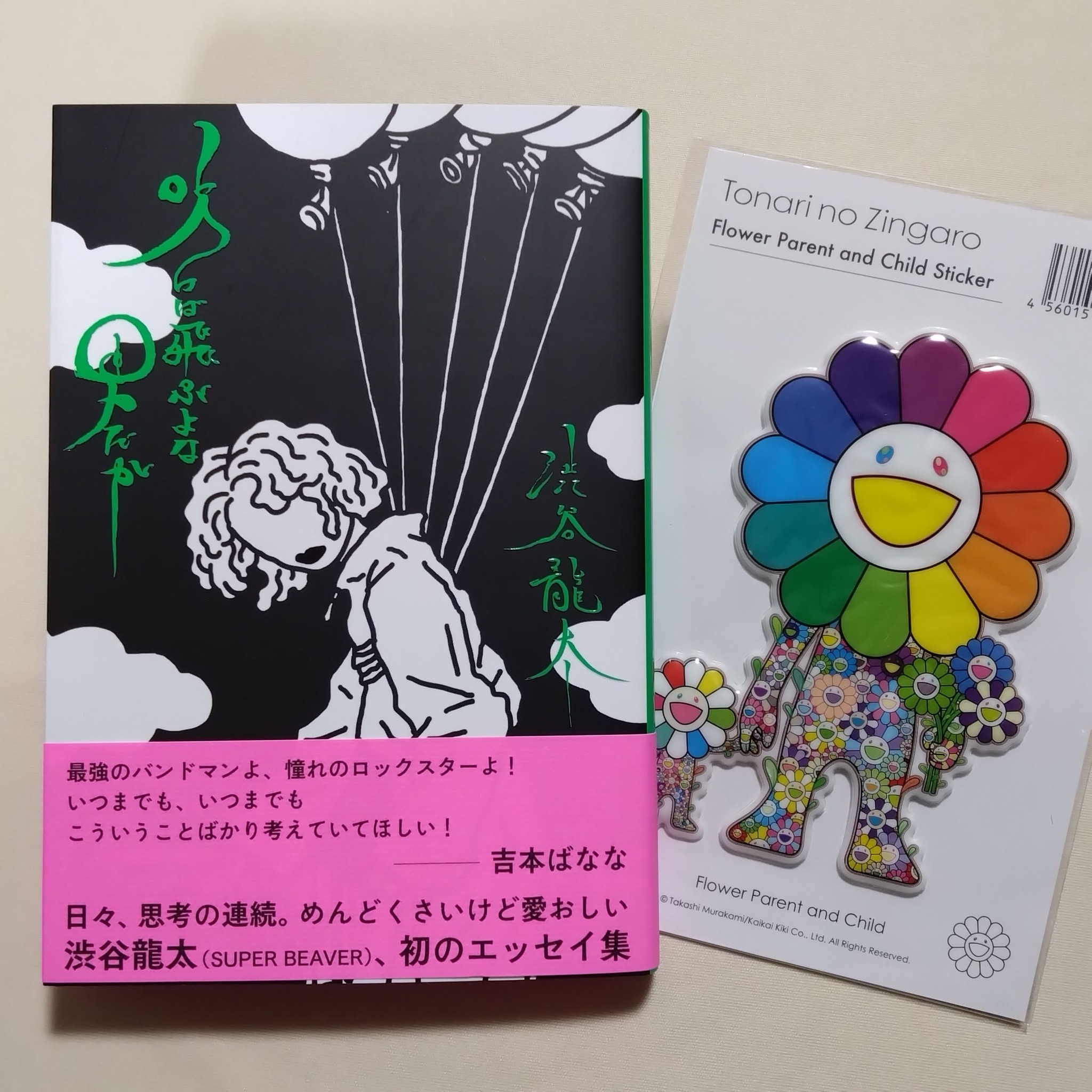 源孝志『グレースの履歴』 （本の裏表紙より） 妻の美奈子が突然事故で 