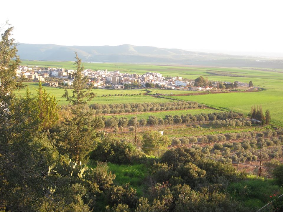 حنين سولم