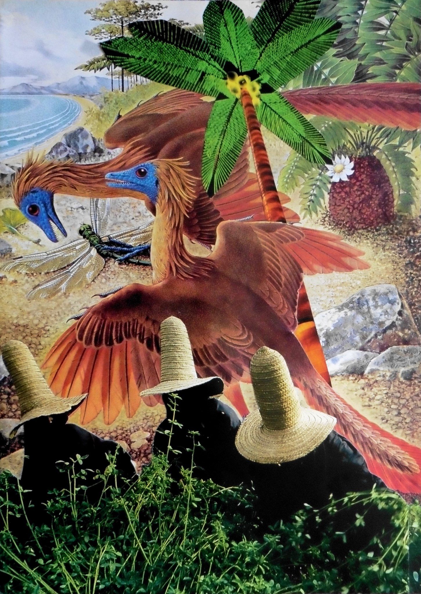 Anicca's Art