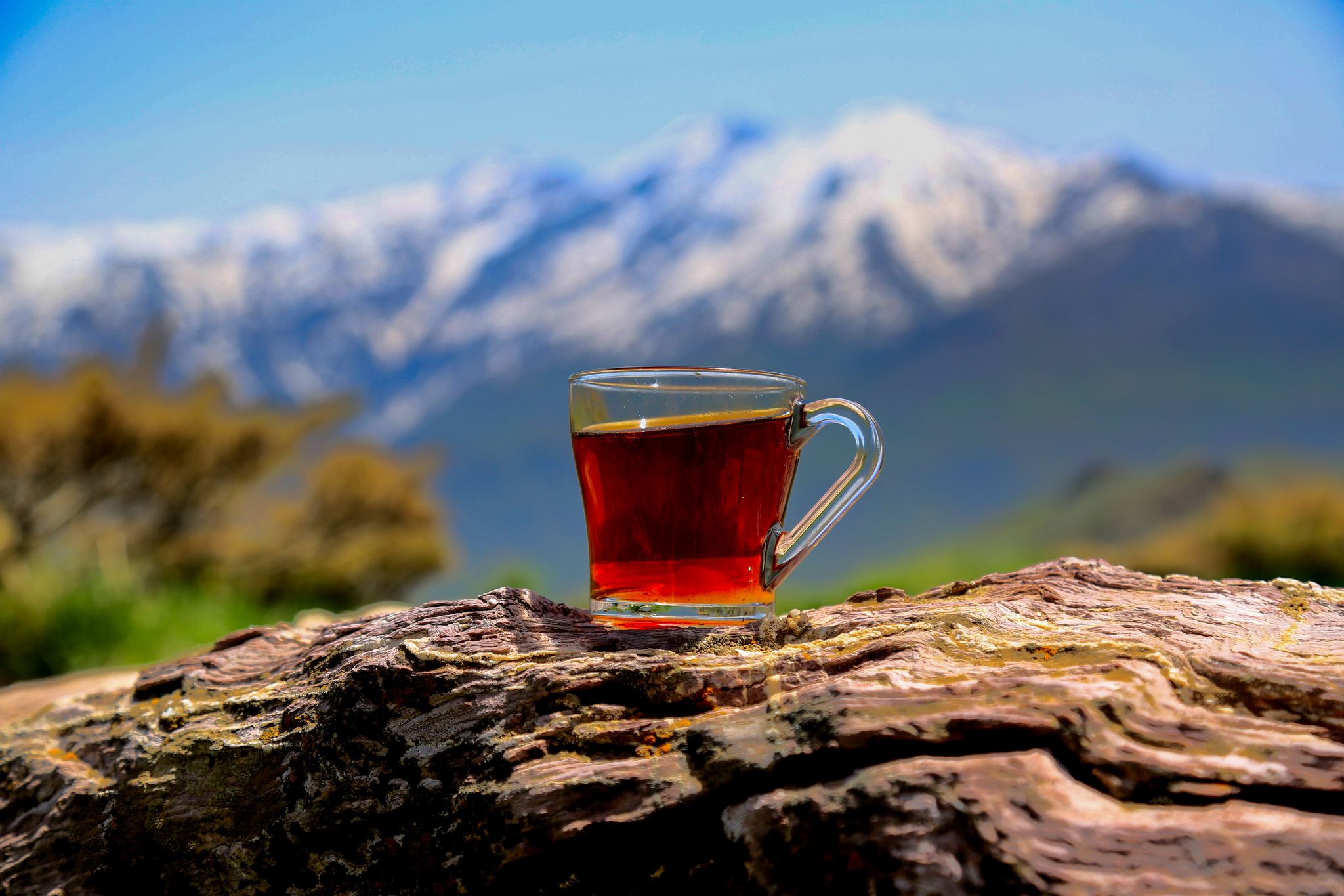 Tea : چا