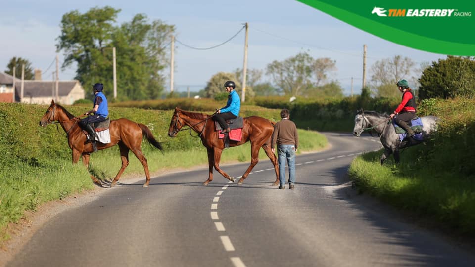 Our take on The Beatles, Abbey Road... - Tim Easterby Racing