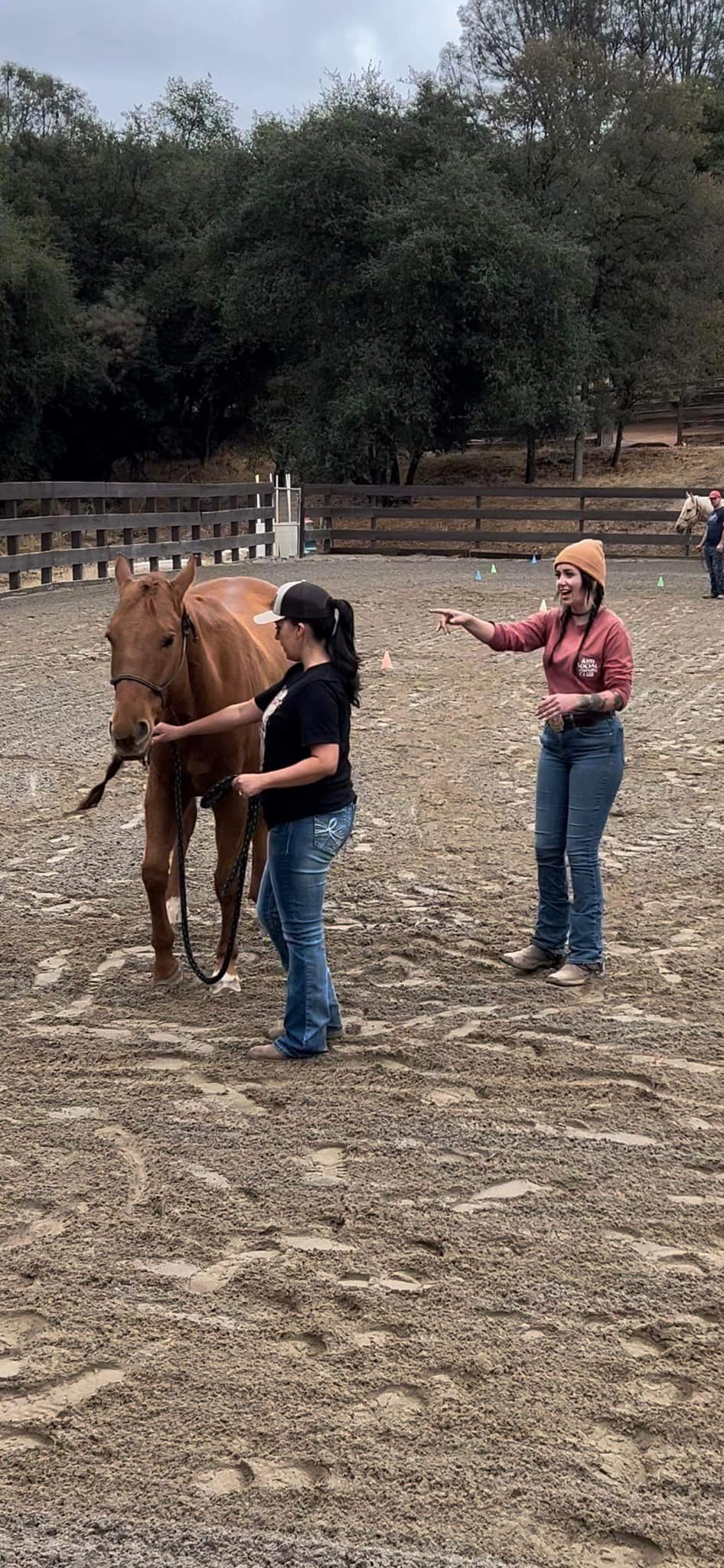 Topline Performance Riding School | Rescue CA