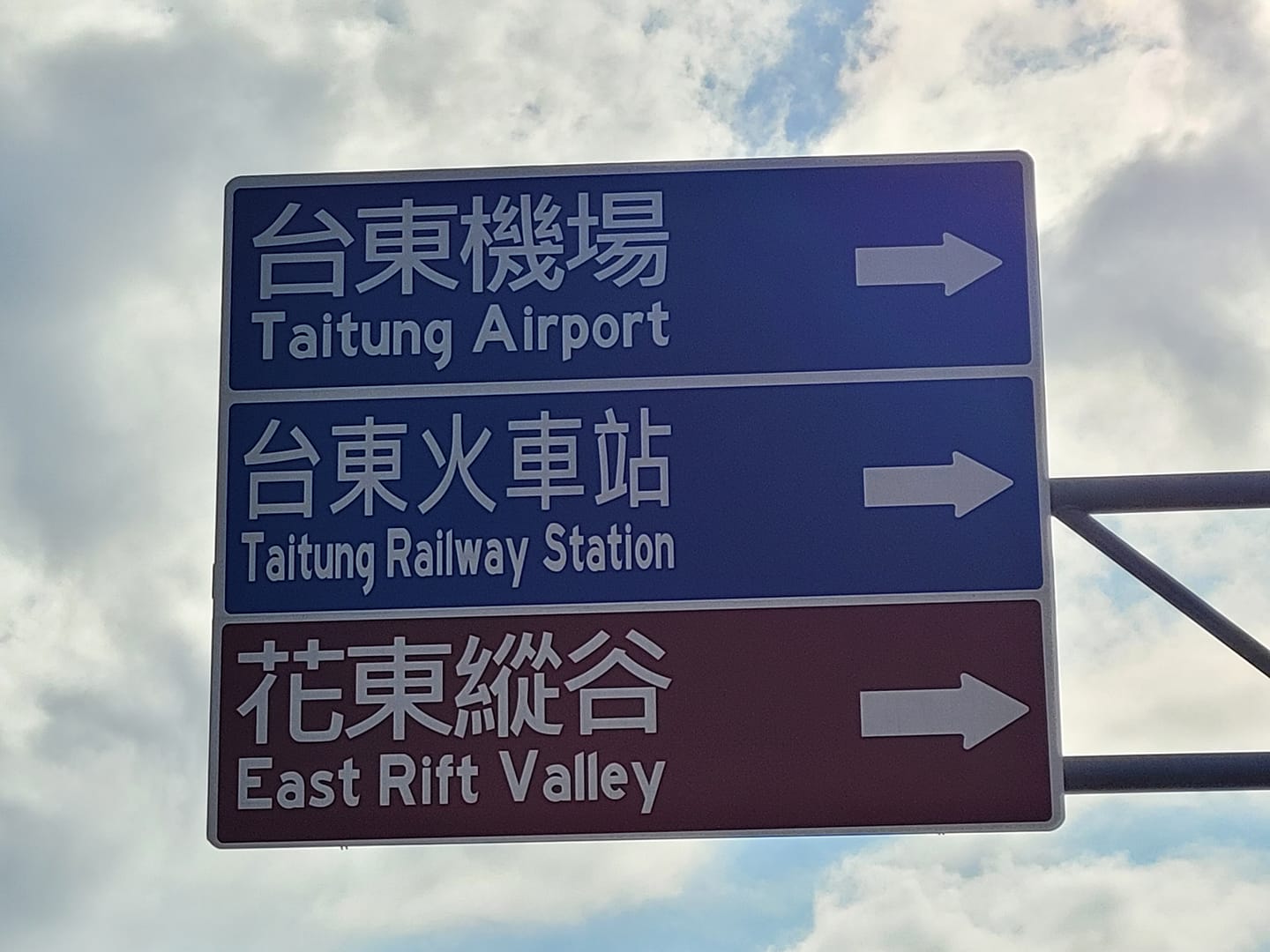 黑凍嫩仙草