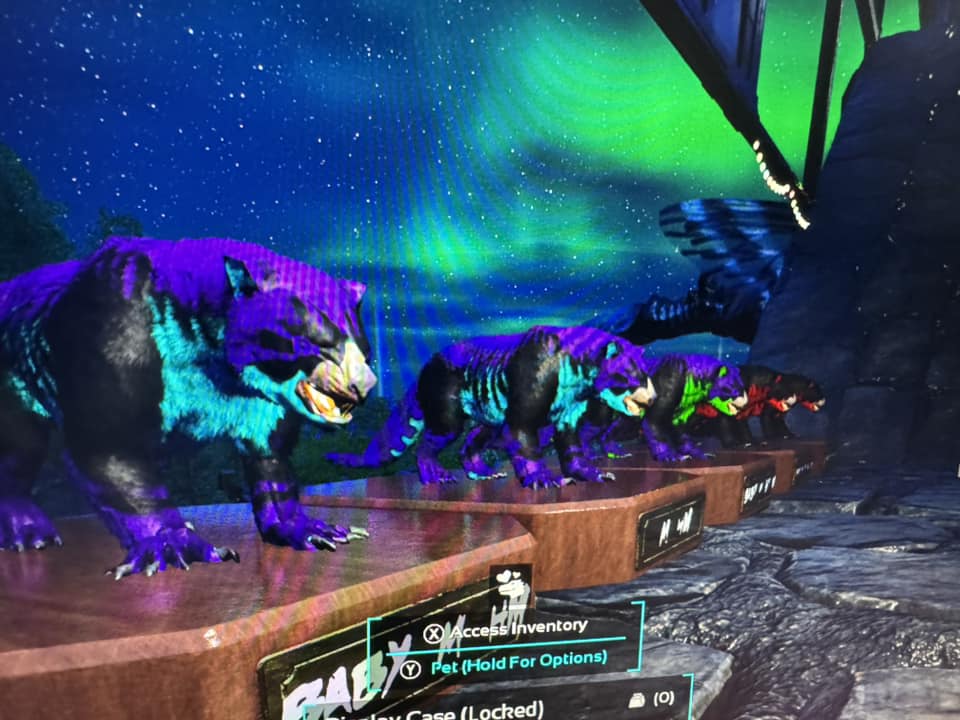 Uovo Carcharo TOP STATS 1005 Melee - Ark Survival Ascended (ASA) - PVE - Uovo Di Carcharo
