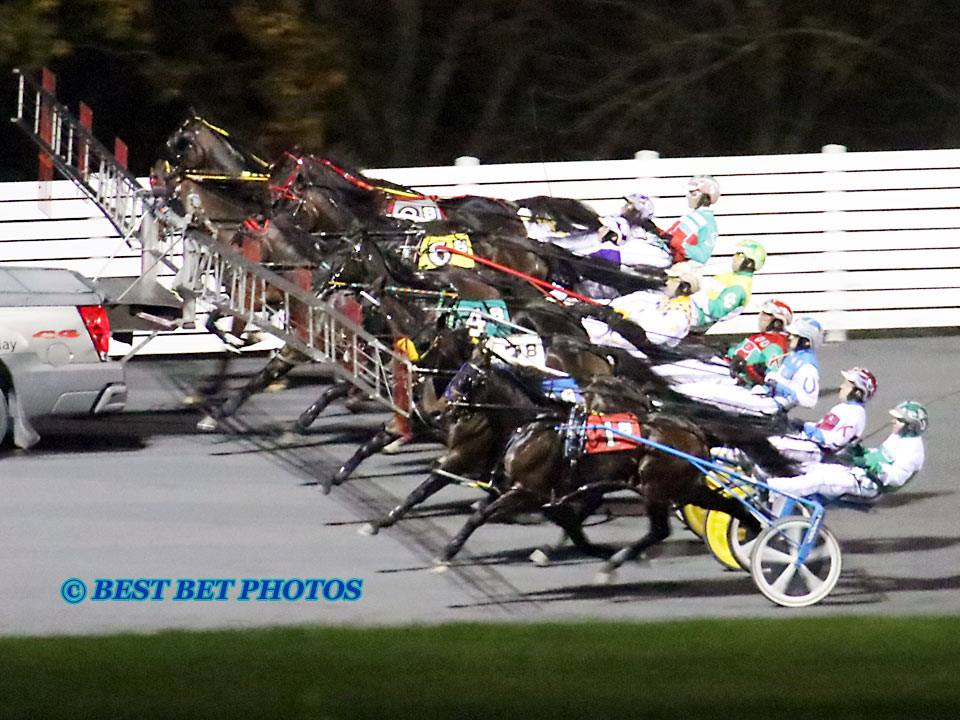 Best Bet Photos Rosecroft Raceway - Home