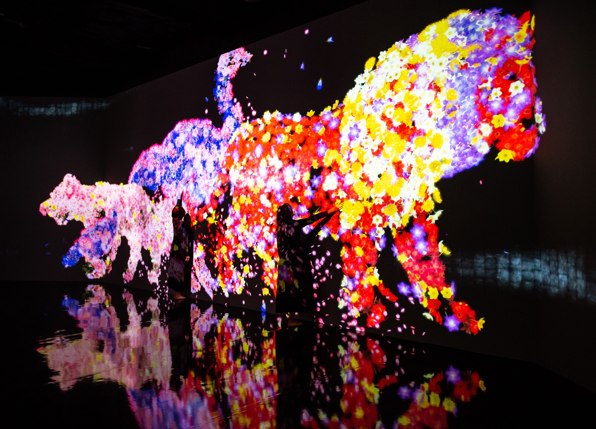 teamLab / チームラボ - teamLab brings ever-changing, immersive... | Facebook
