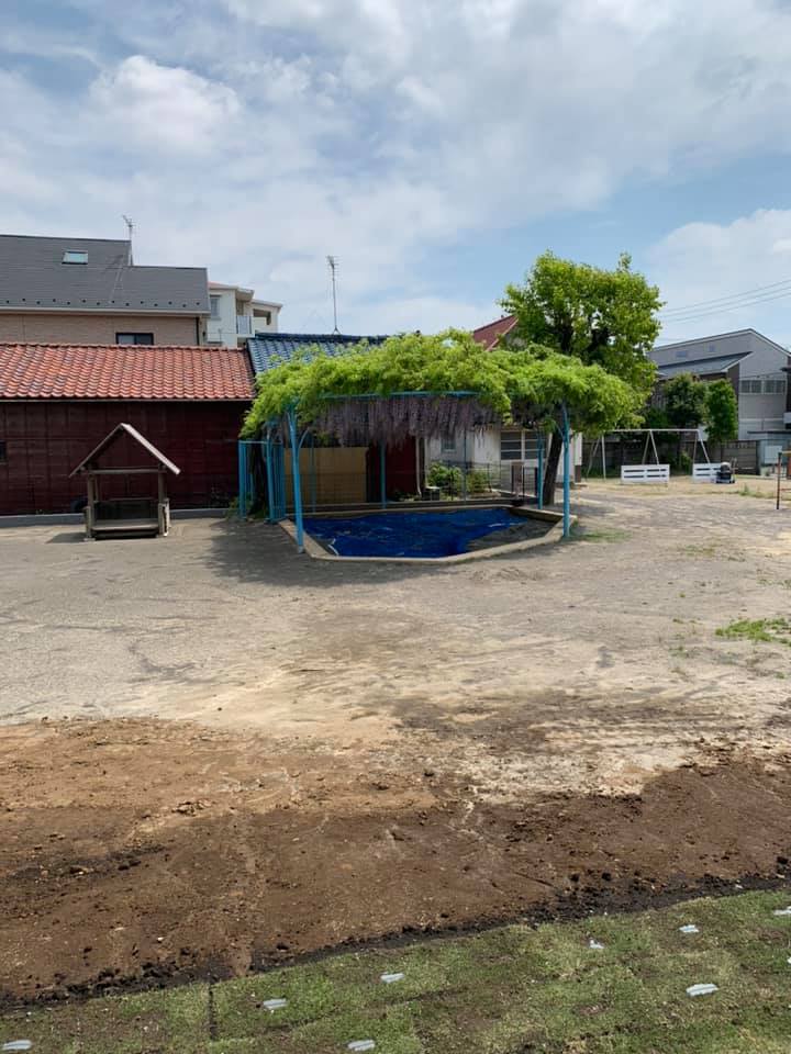 日本基督教団 千葉本町教会 羔幼稚園 園舎新築の際 解体の難を逃れた藤棚と砂場 今年も咲きました 咲いている間 Facebook