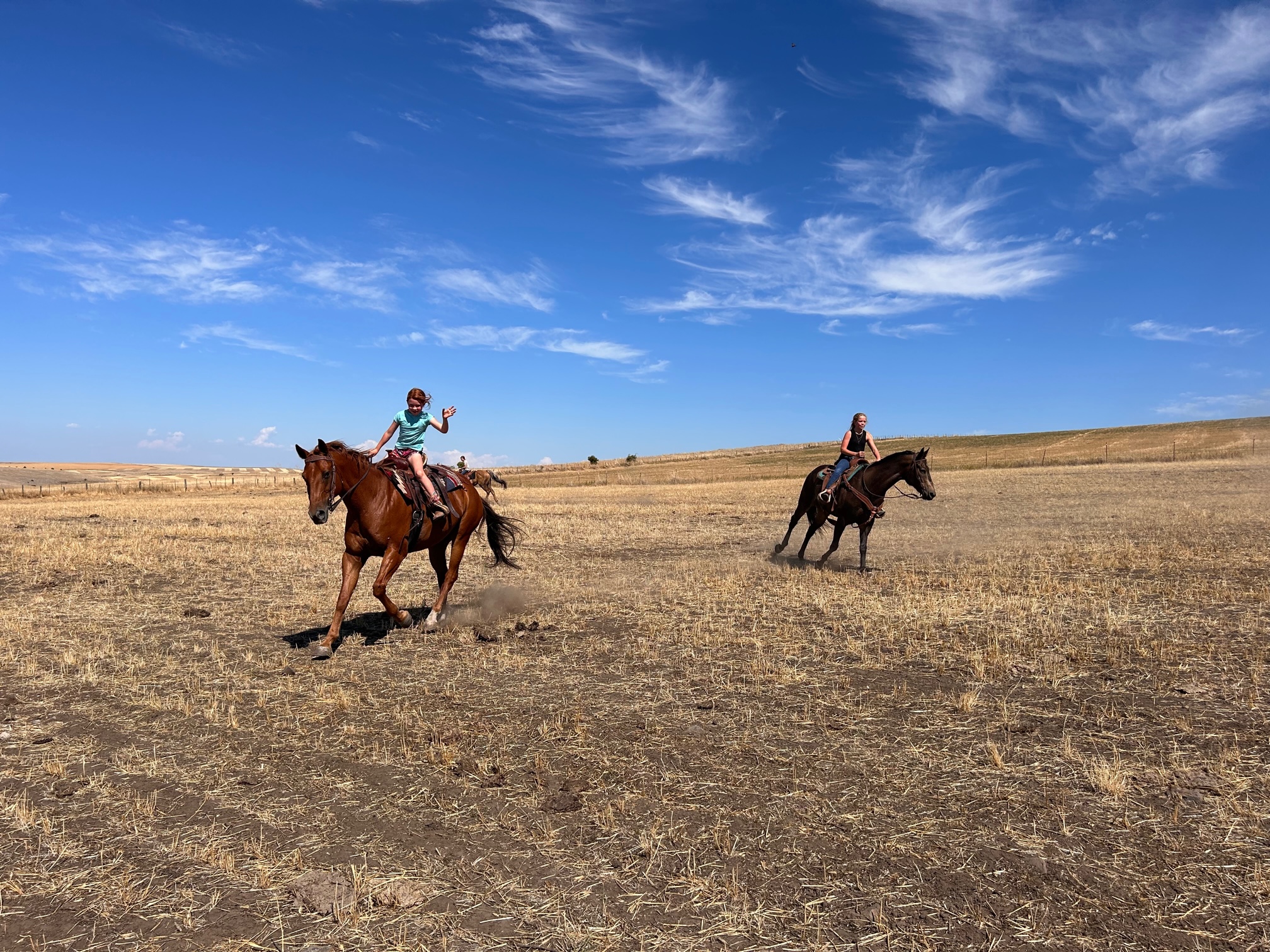 Rocking Y Stables & Arena | Lewiston ID