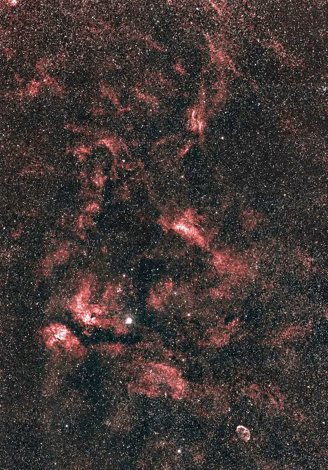 Seestar S30 photo of HD226868 and Cygnus X-1
