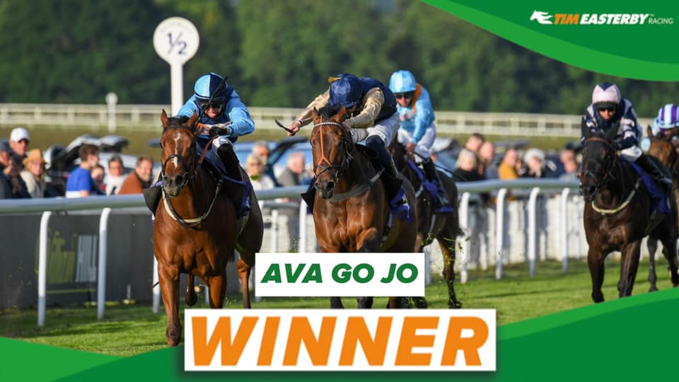 🟢 WINNER! 🟠 A Yorkshire treble... - Tim Easterby Racing | Facebook