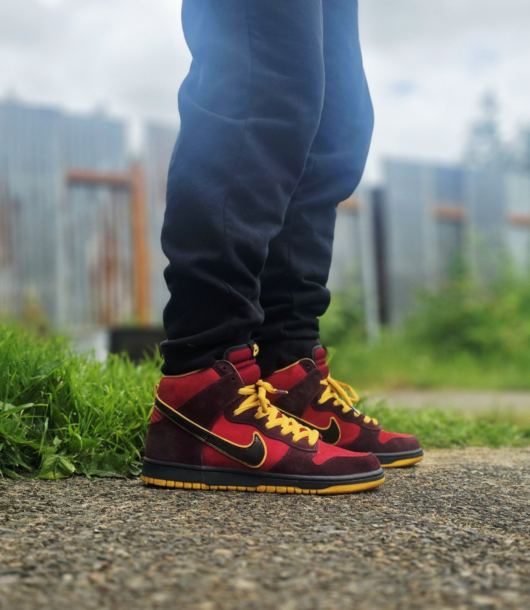 Nike SB Dunk High 