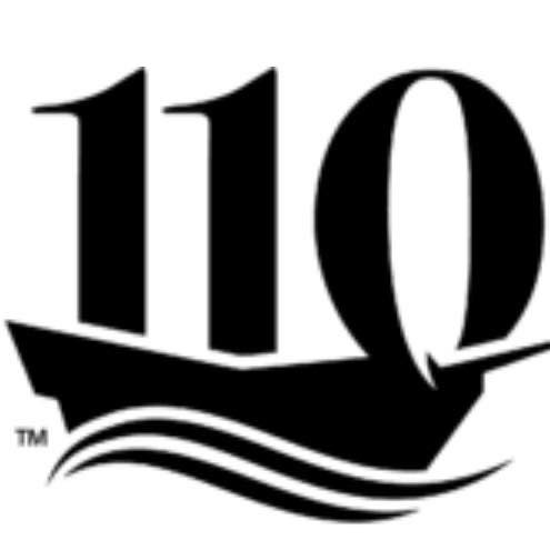Project 110