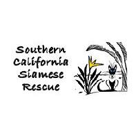 Honoring Siamese cat... - Southern California Siamese Rescue | Facebook