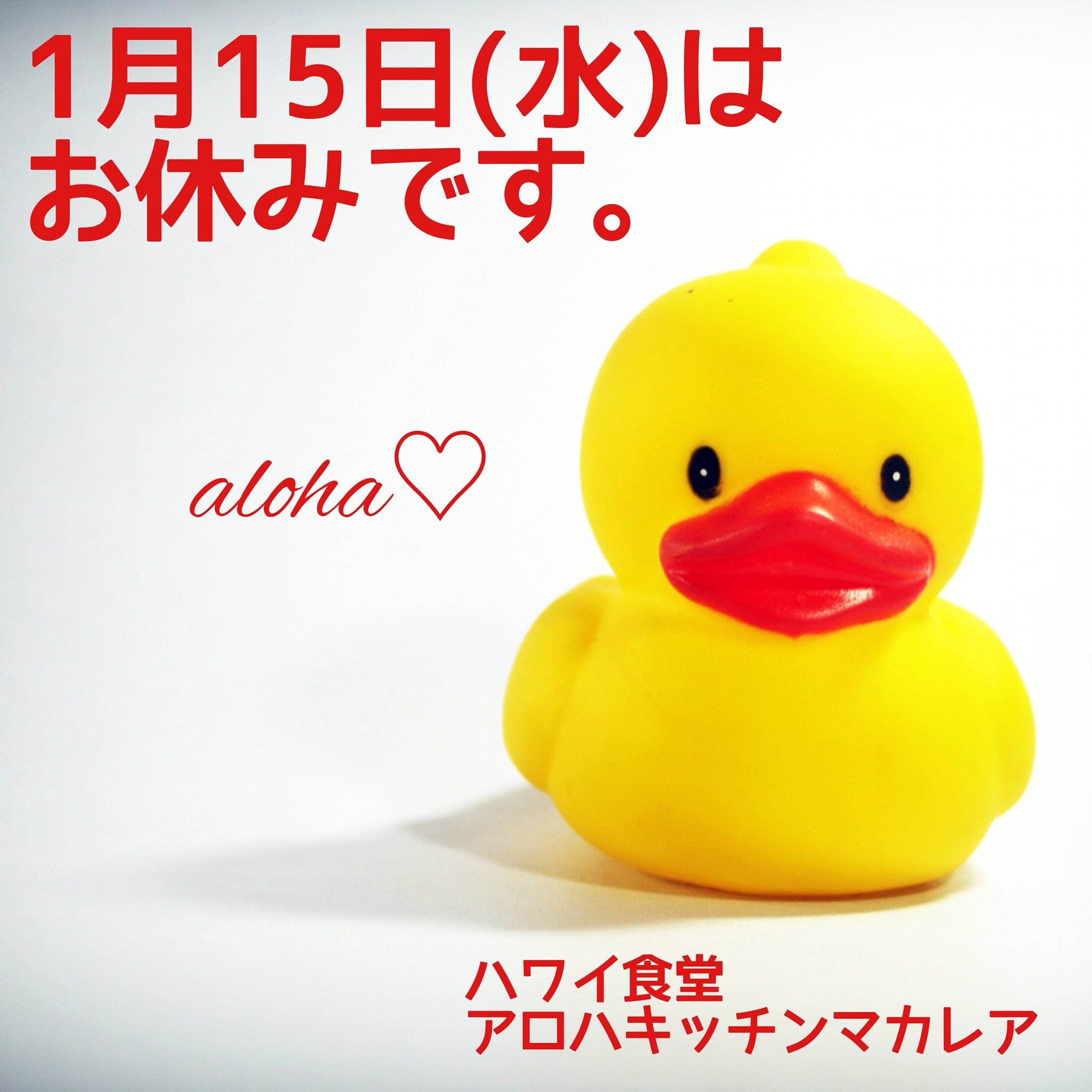 Aloha awakea... - 秋田市 Aloha Kitchen Makale'a アロハ キッチン マカレア