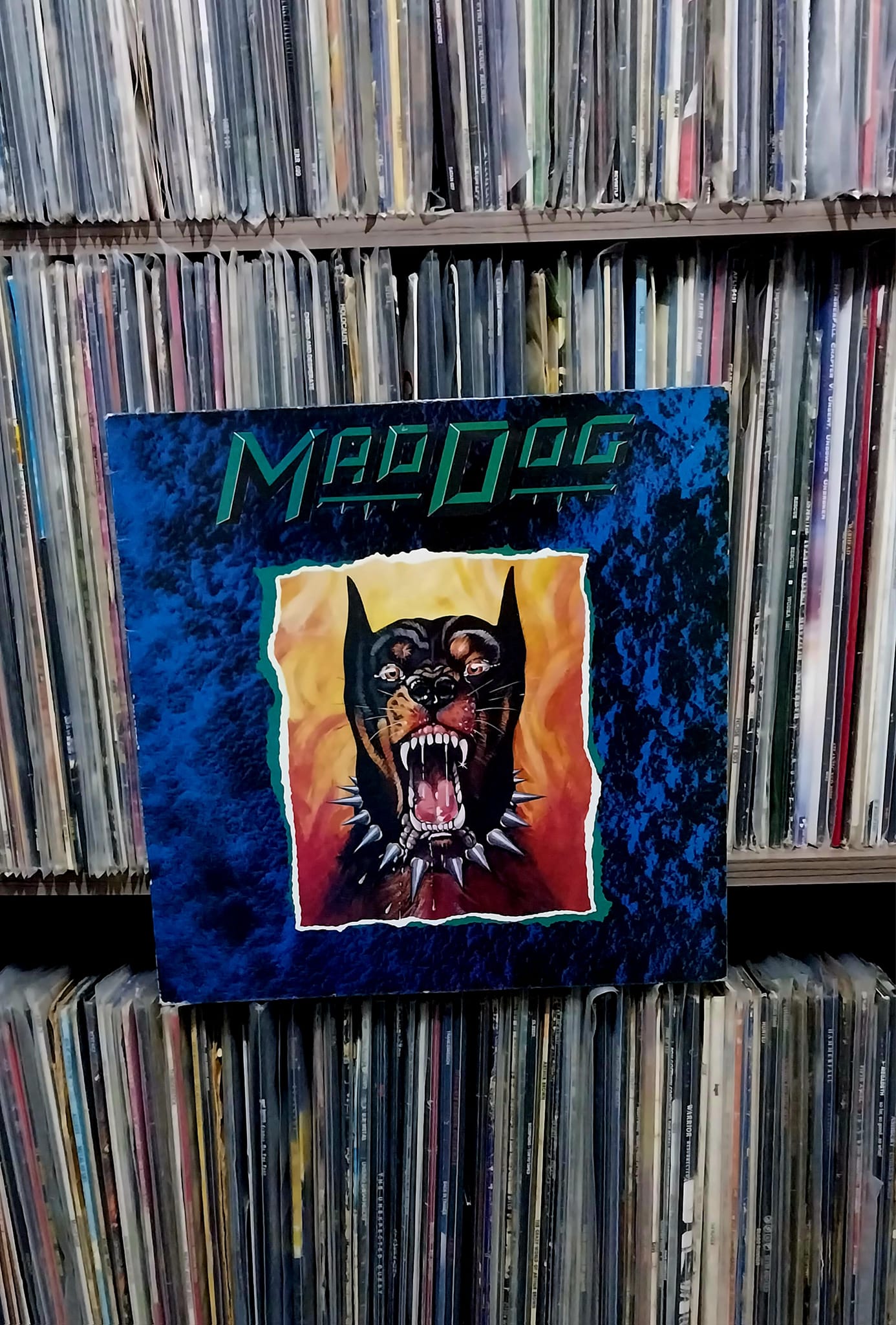 Wild Dogs - Reign Of Terror 1987 Enigma Records
