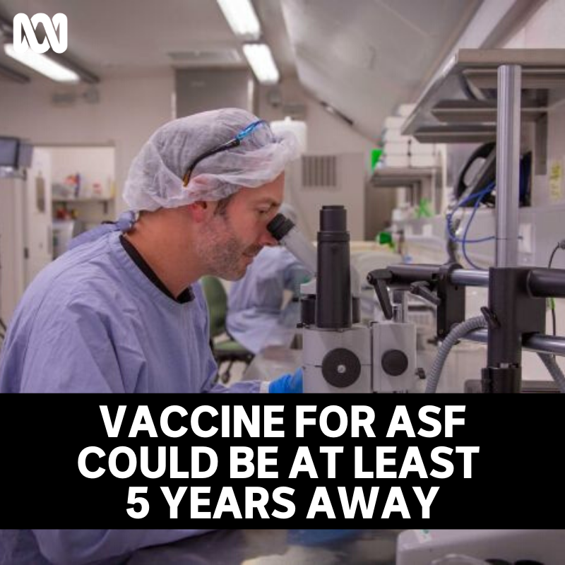 ABC Landline - In a lab in Geelong, Victoria, scientists... | Facebook