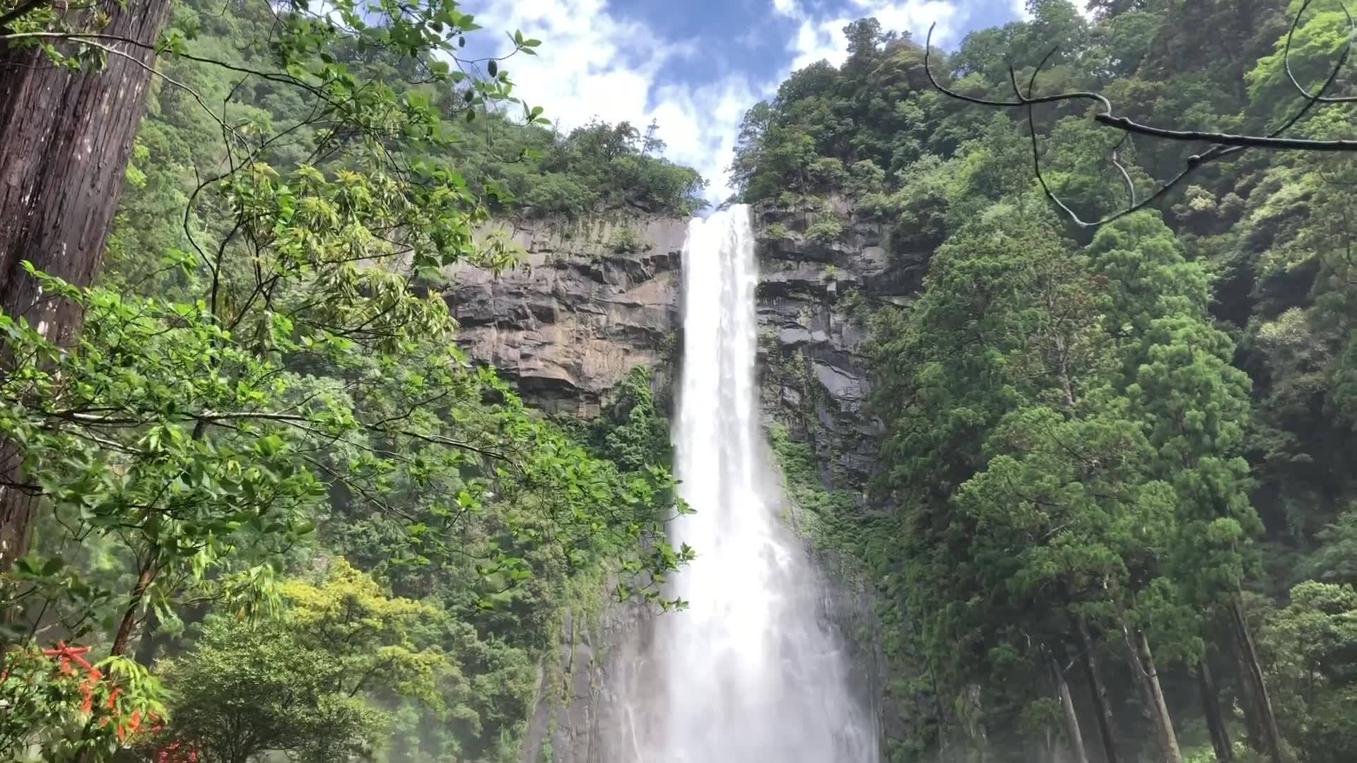 一般社団法人 山中湖観光協会 - 山中湖は野鳥の宝庫！ 先日、春の風物詩うぐいすと出会えました。... | Facebook