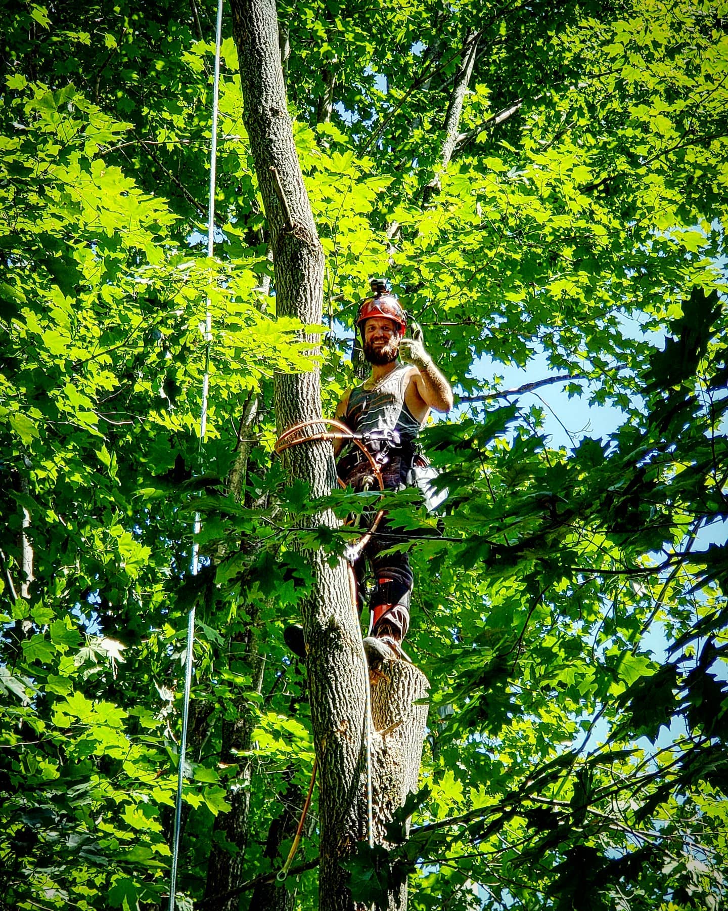 Sound Tree Service