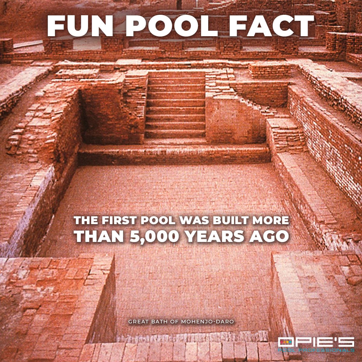 Opie's Pool Professionals - Did you know...The first pool was built ...