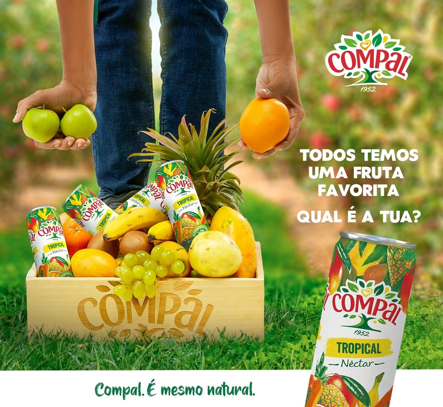 Compal - Todos temos uma fruta favorita, mas o ideal é... | Facebook