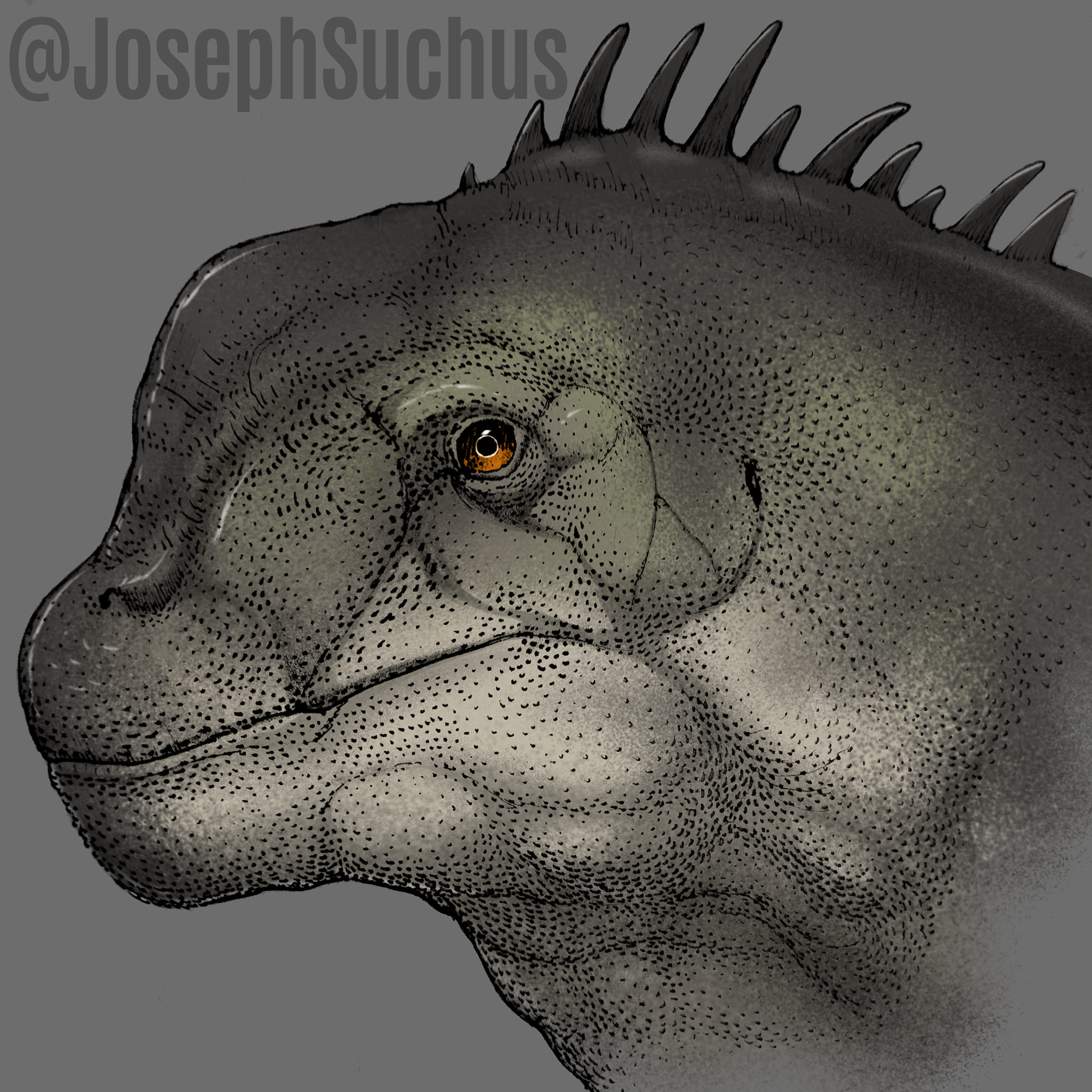 JosephSuchus