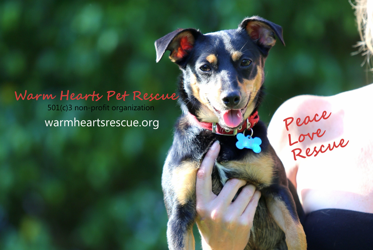 Warm Hearts Pet Rescue,... - Warm Hearts Pet Rescue, Inc.