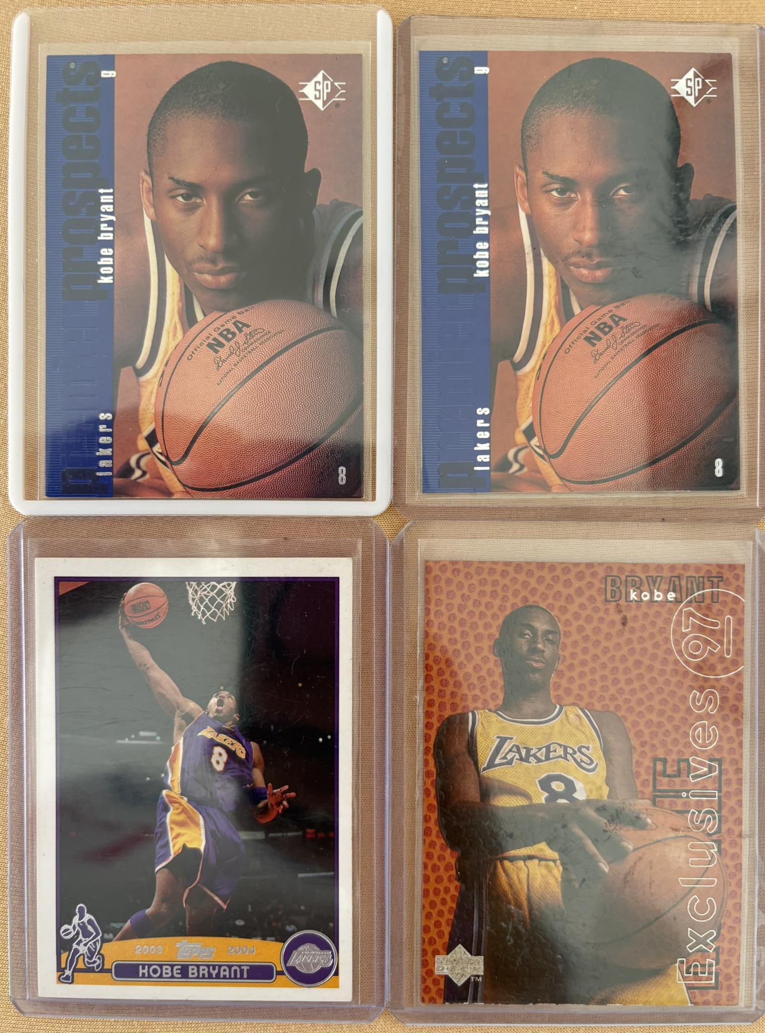 PTPA For Share Only Dennis Rodman: 1996-97 Flair Showcase # 9 
