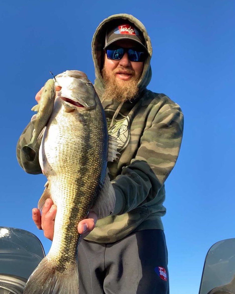 Ferda Baits