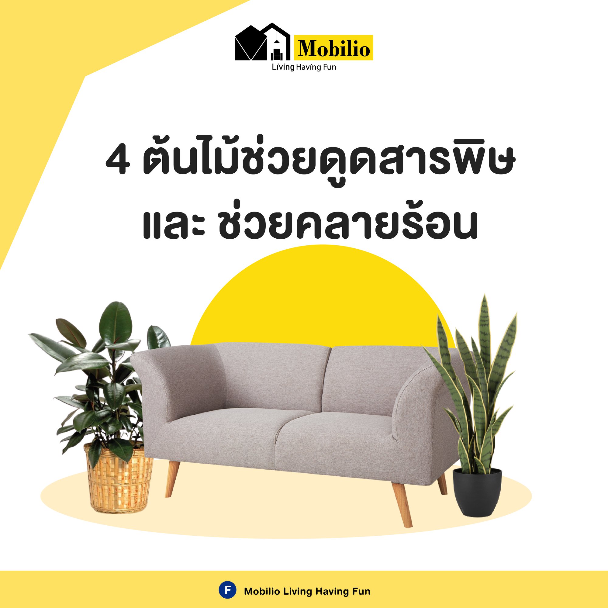 วันนี้แอดมินนำวิธีคลายร้อนแบบง่า... - Mobilio Furniture Outlet