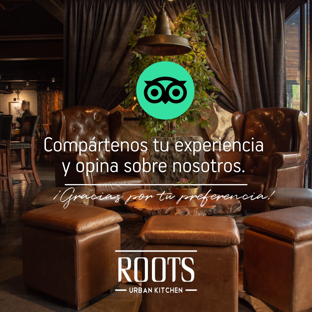 Roots Urban Kitchen | Querétaro
