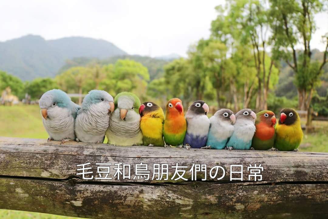 香菇菇&方吉的小日常 - 香菇菇&方吉的小日常 added a new photo.