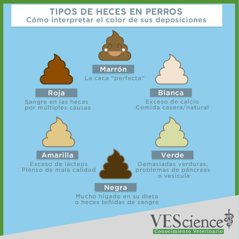 El color, la consistencia, la... - VES Educación Continua