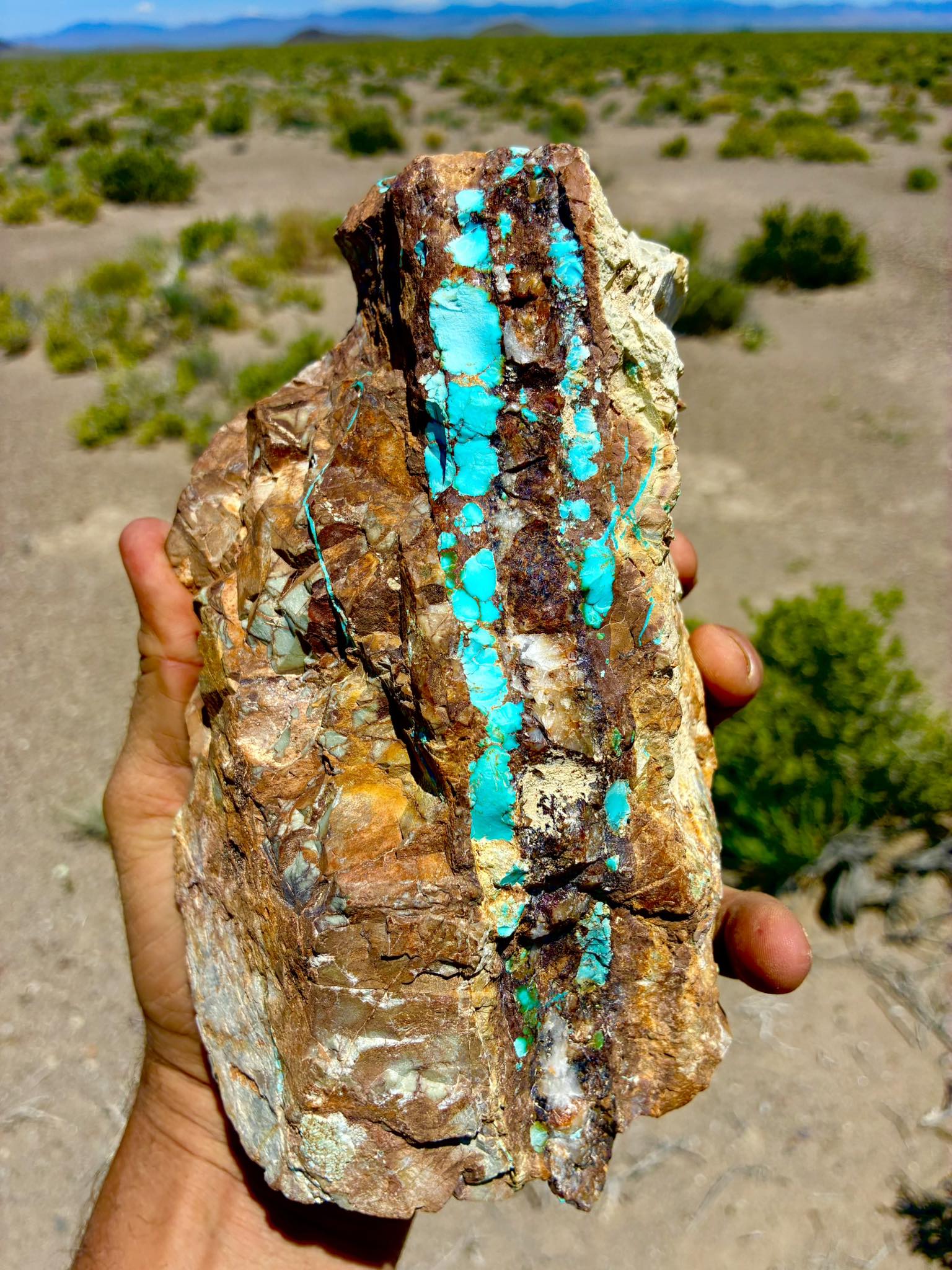 Largest turquoise in the usa at avant rock shop mt ida
