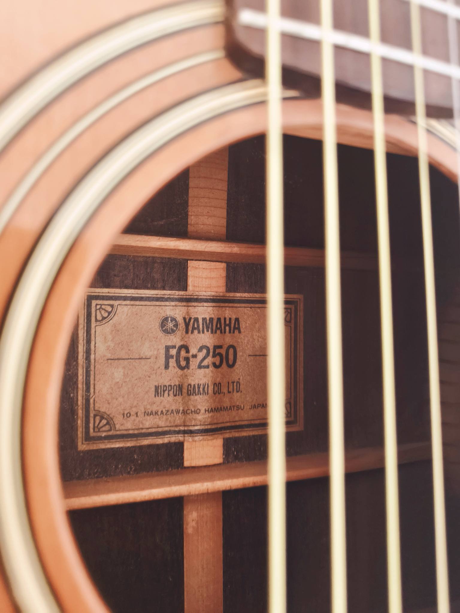 yamaha FG 250 green label УААА FG-250 NIPPON GAKKI CO,LTD . CO,LTD