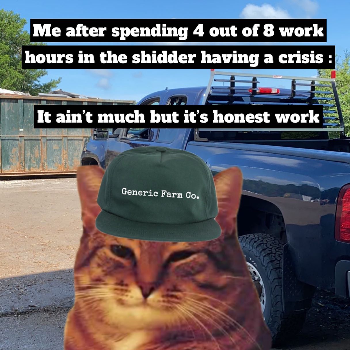 I think I have IBS (I Be Shiddin... - Catswithhardhats