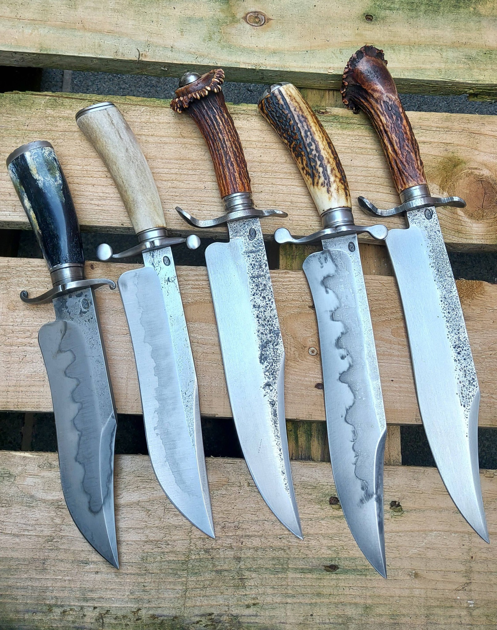 Rare Kiku Knives Boar Kikuo Matsuda & Masayuki Matsuda OU-31 