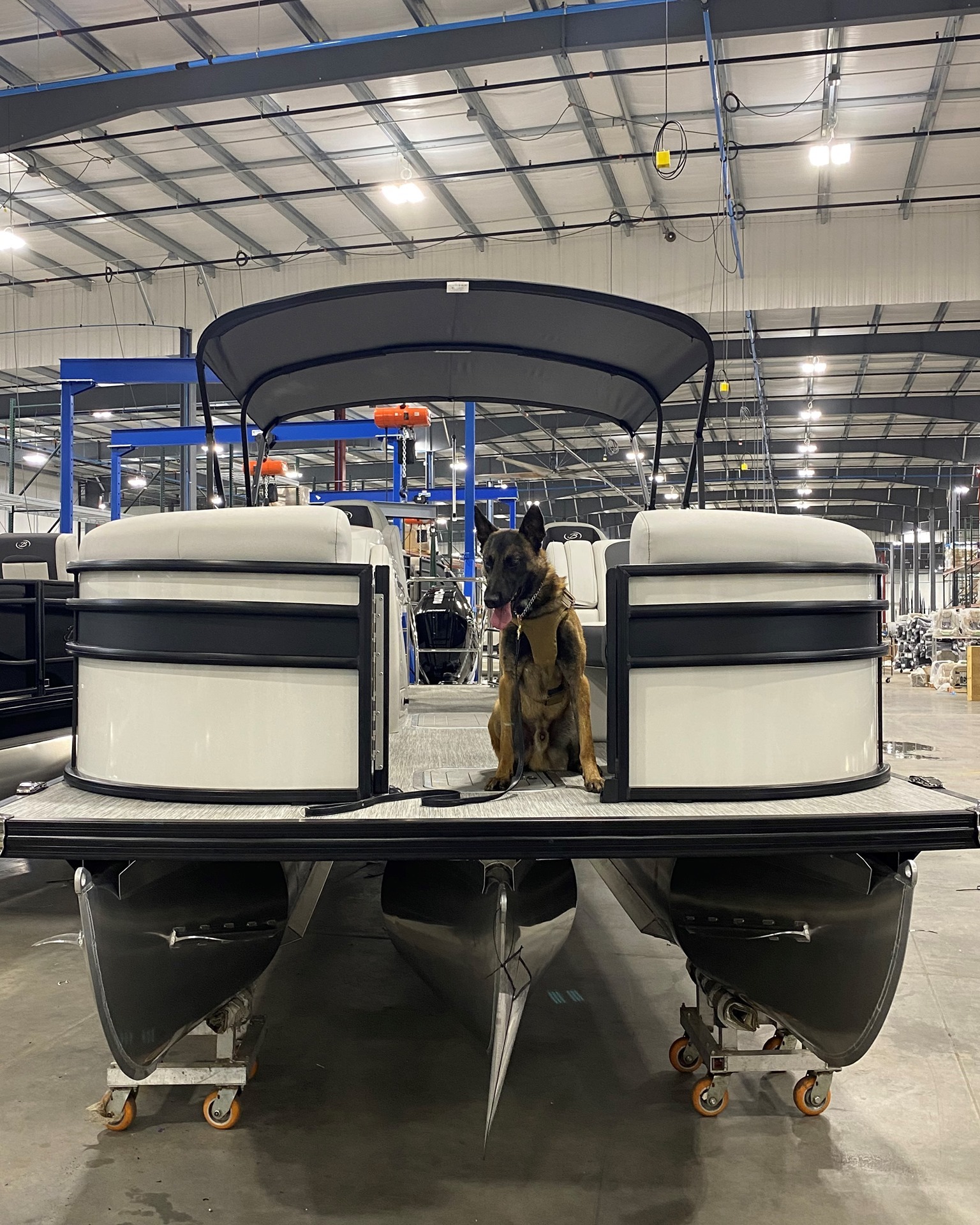Barletta Boats - Meet Corsa, K9 Officer with the Elkhart... | Facebook