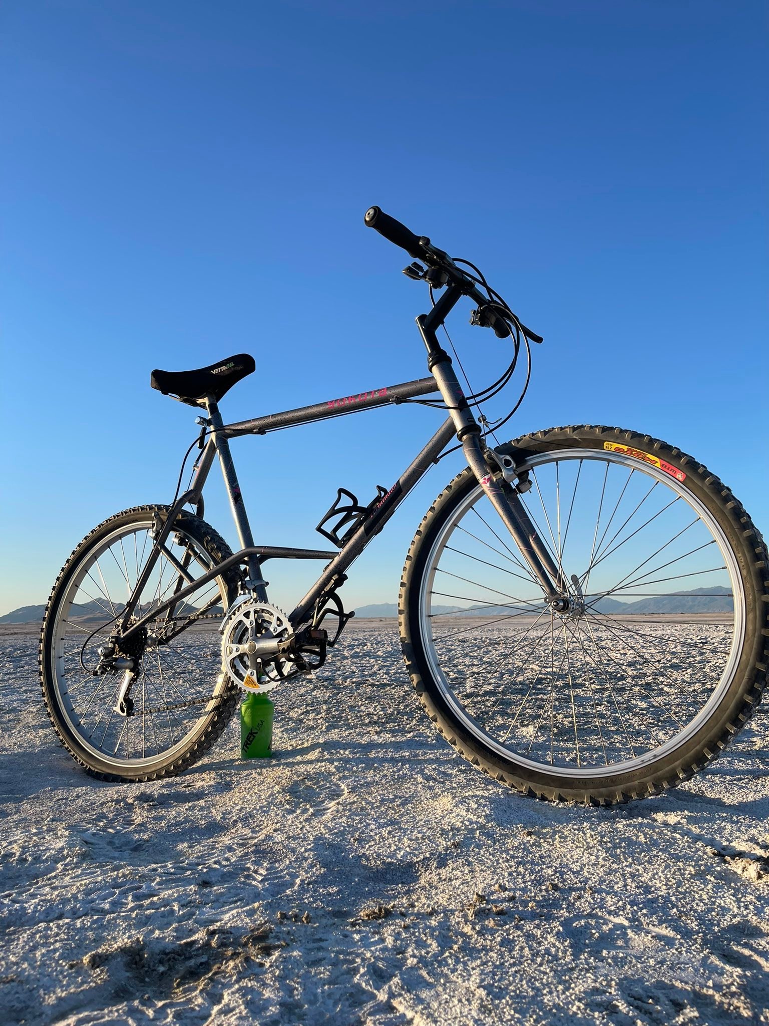 1990 Yokota Terminator mountain bike restored