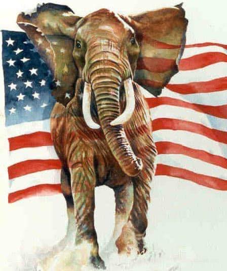 Sample Ballots have been... - Coryell County Republican Party | Facebook