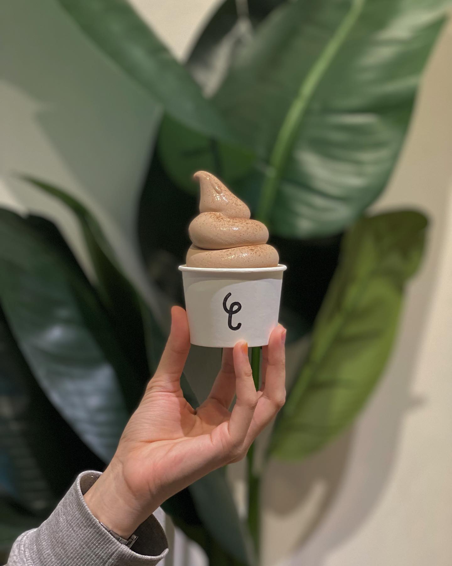 Tiny Elephant Soft Serve Coffee Home Facebook
