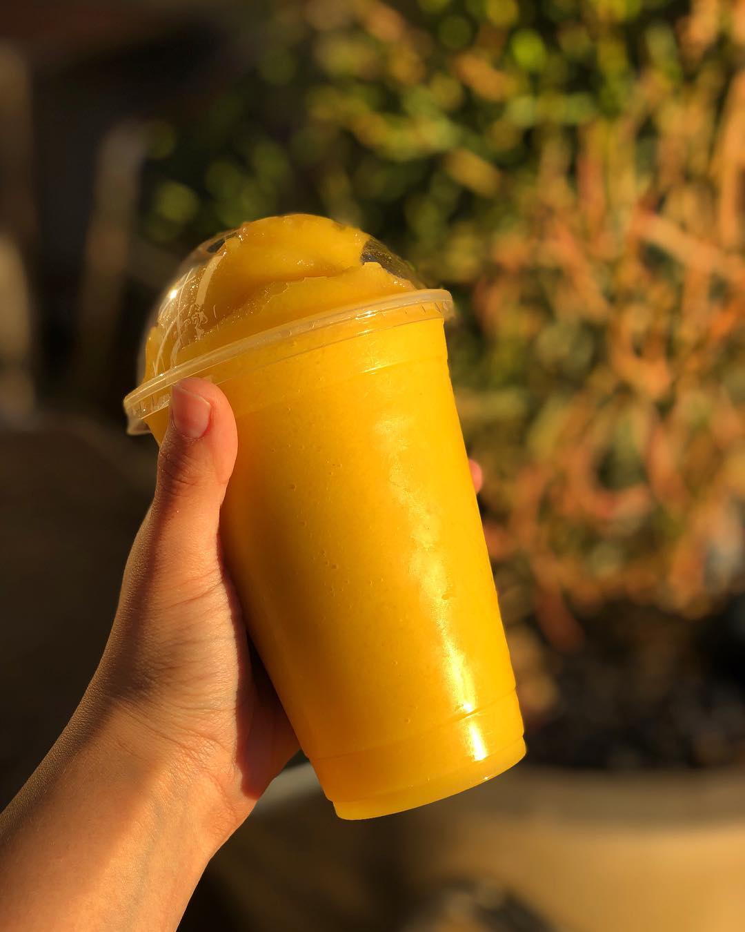 Pokilicious | Riverside CA